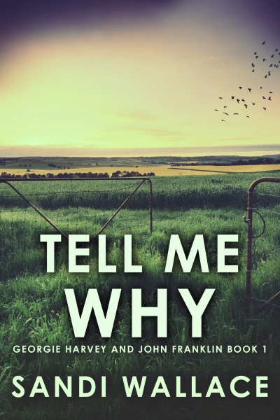 Tell Me Why (Georgie Harvey and John Franklin Book 1)