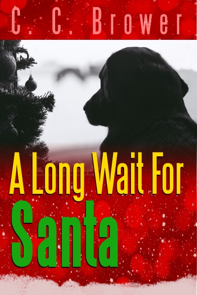 A Long Wait for Santa by C. C. Brower