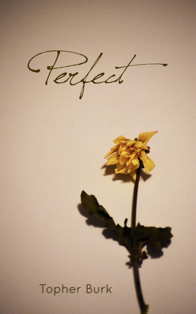 Perfect