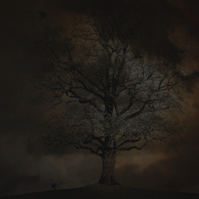 Shadows Through the Fog SAMPLE