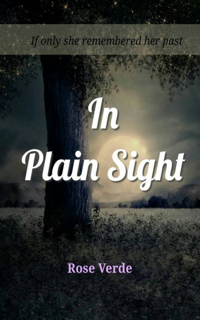 In Plain Sight